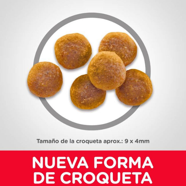 Hills Alimento para Gato Adulto - Science Diet Hills Alimento para Gato Adulto - Science Diet
